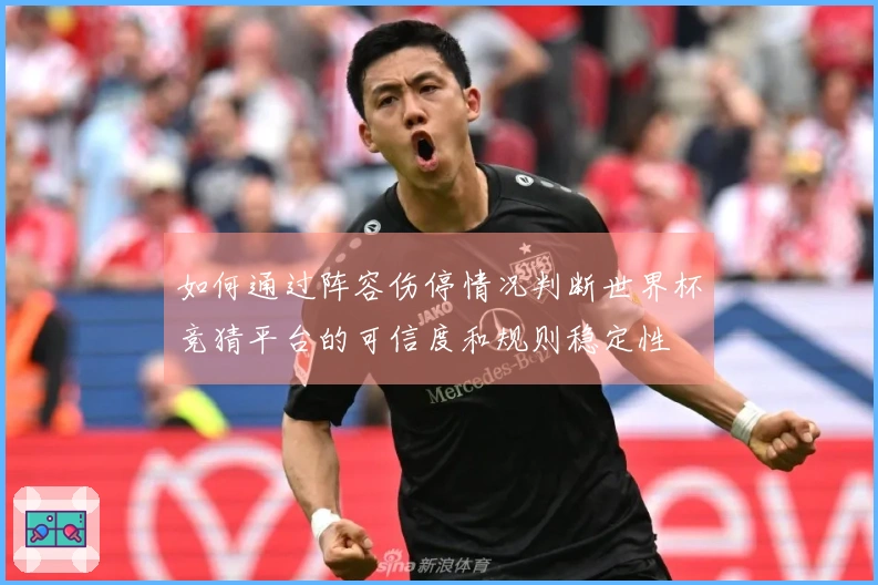 如何通过阵容伤停情况判断世界杯竞猜平台的可信度和规则稳定性